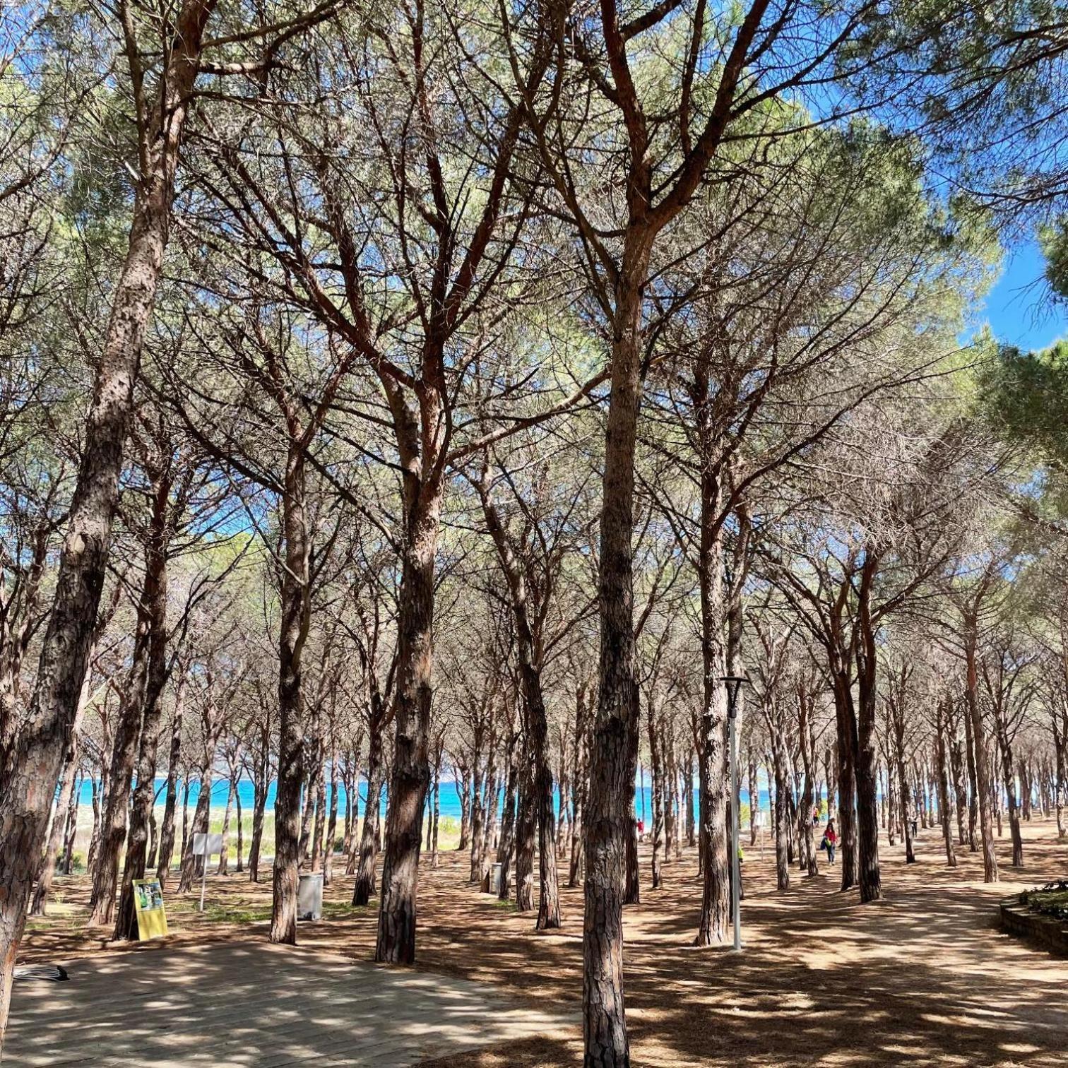 Sorres De Mare Villa Budoni Exteriör bild