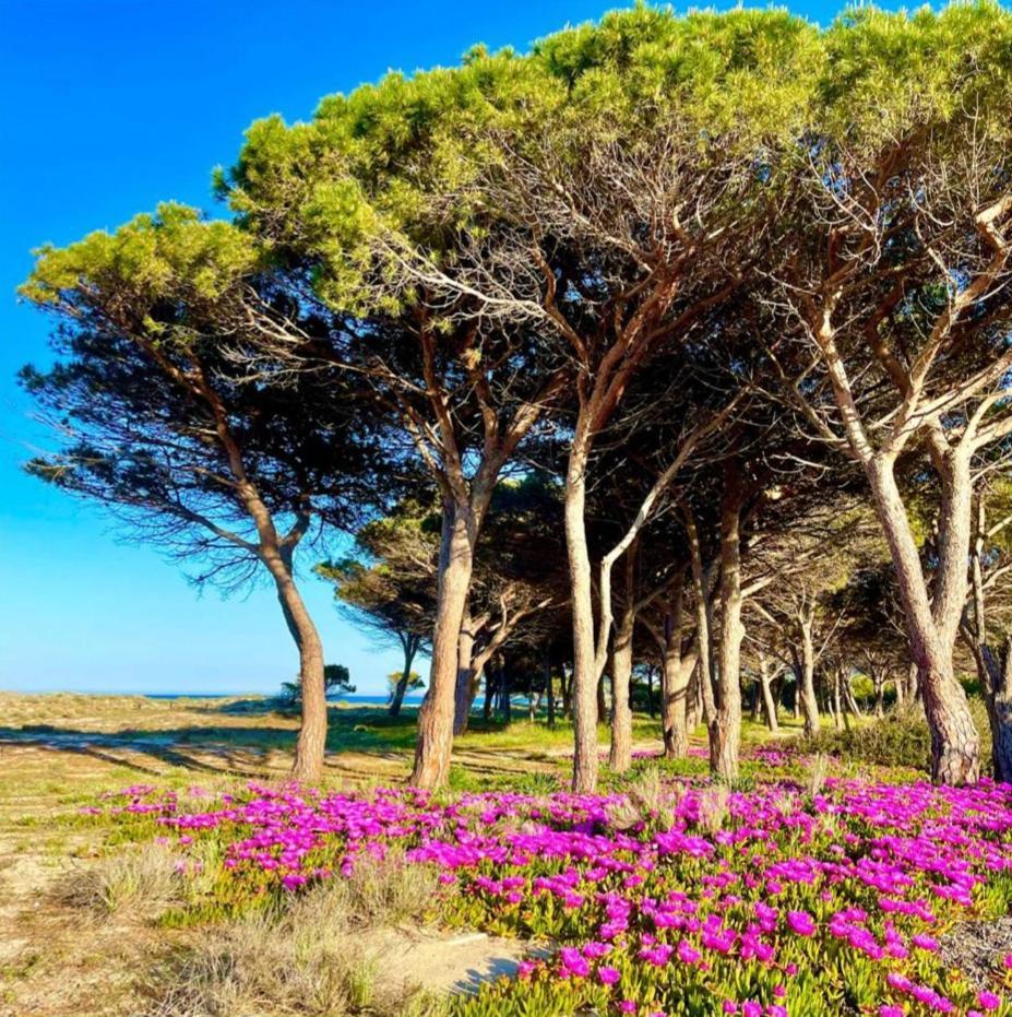 Sorres De Mare Villa Budoni Exteriör bild
